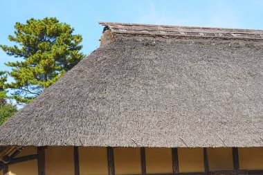 Geleneksel Japon bambu çatısı, mimari detay 