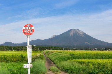 Fuji Dağı 'ndaki güzel manzara ve Japonya' daki yeşil çimen