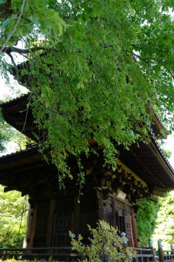 Geleneksel Japon tapınağının manzarası