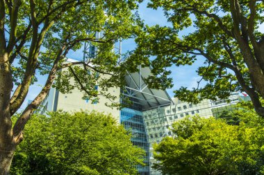 Şehrin modern binaları ve yeşil ağaçlar