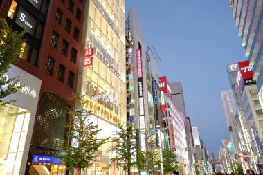 Tokyo şehrinin modern mimarisi Alacakaranlık zamanı, Japonya 