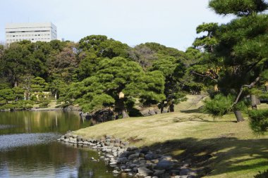 Tokyo, Japonya Tokyo, Japonya 'daki Tokyo bahçesinin manzarası.