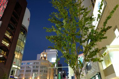 Ginza Wako, Tokyo, Japonya gece görüşü