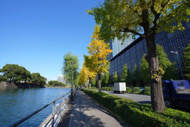 Şehirdeki göl ve modern binalar