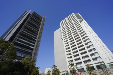 Şehirdeki modern ofis binaları, güneşli bir günde gökdelenler 