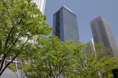 Yüksek binalar ve mavi gökyüzü - Tokyo, Japonya