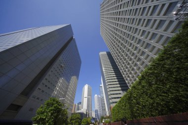 Yüksek binalar ve mavi gökyüzü - Tokyo, Japonya