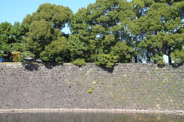 Tokyo 'daki Edo Kalesi ve Marunouchi Finansal Bölge Binaları