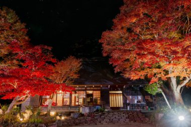 Hadano, Japonya 'daki Ryokusuian Tarihi Evi. Bu geleneksel Japon evi resim gibi bir bahçeyle çevrilidir. Akçaağaç yapraklarının parlak renklere dönüştüğü sonbahar manzarasıyla ünlüdür. Ev akşamları aydınlanır.