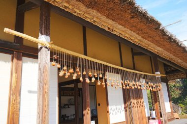 İpte sallanan lezzetli kurutulmuş hurma ağaçları.