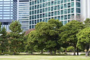 Gündüz Japon şehrinin modern mimarisi 