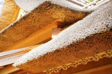 Tokyo, Japonya 'daki Kumakawa Tapınağı' nın kısmen manzarası..