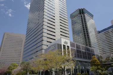 Yüksek binalar ve mavi gökyüzü - Tokyo, Japonya