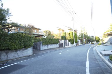Çitlerde büyüyen yeşil bitkilerle dolu şehirde boş bir yol. 