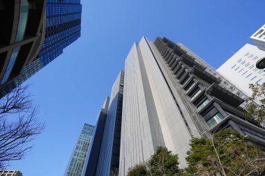 Şehirdeki modern ofis binaları, güneşli bir günde gökdelenler 