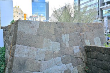 taş duvarda büyüyen yeşil bitkiler şehir binalarına karşı 