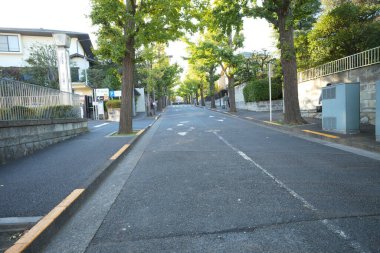 Küçük bir kasabada boş yol boyunca büyüyen yeşil ağaçların güzel manzarası. 