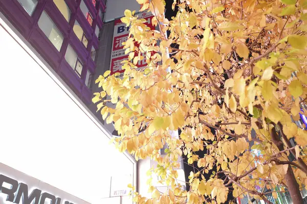 東京都の街並みのイルミネーションビル — ストック写真