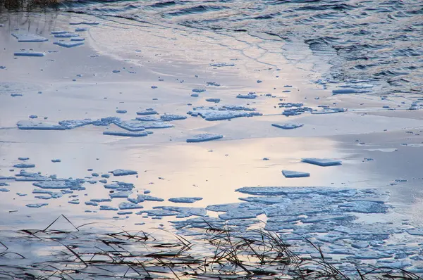 Замерзшая Река Лесу — стоковое фото