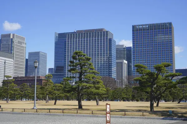 Meiji Seimei Kan binası ile Tokyo şehir manzarası, Japonya