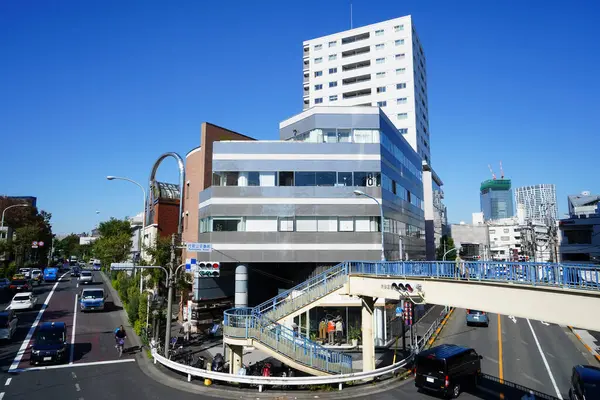 Architecture Moderne Ville Japonaise Vue Jour — Photo
