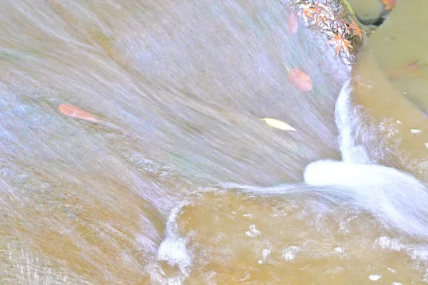 Mooie Waterval Het Bos Van Dichtbij — Stockfoto