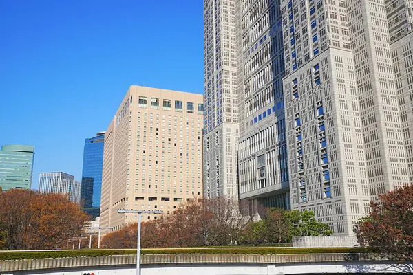 东京市政府大楼在阳光明媚的日子 — 图库照片