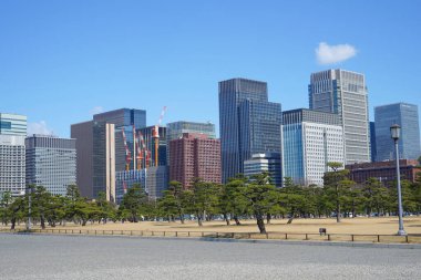 Tokyo, Japonya 'daki modern binaların ve yeşil ağaçların manzarası