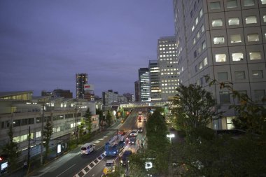 Tokyo Japonya 'da gece vakti.
