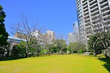 Çağdaş ufuk çizgisiyle karakterize edilmiş bir Asya şehrinin gün ışığı görüntüsü.