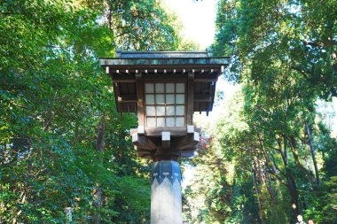 Yaz parkında geleneksel Japon feneri