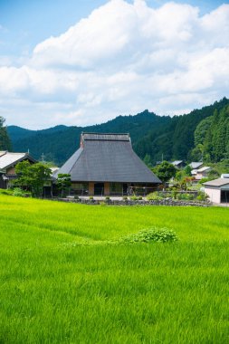 Japonya 'nın kırsal kesimindeki eski geleneksel evin güzel manzarası