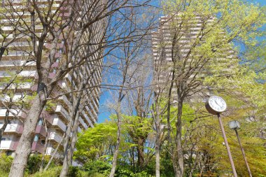 Japonya 'da güneşli bir günde Tokyo' daki apartmanlar