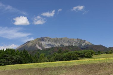 Yeşil dağ manzarası ve çimenli çimenler, Japonya