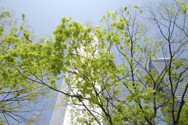 Tokyo, Japonya 'daki modern gökdelenlere karşı ilkbahar yeşil ağaçları