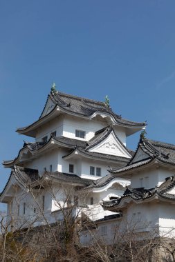 Ueno Kalesi (