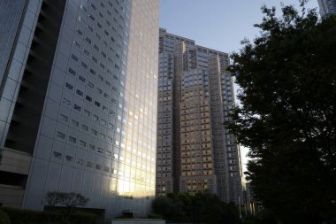 Yüksek binalar ve mavi gökyüzü - Tokyo, Japonya