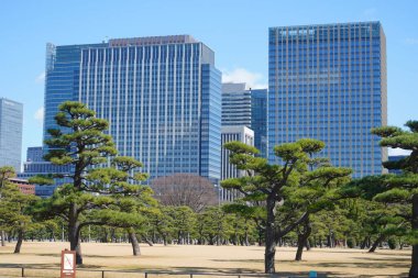 Meiji Seimei Kan binası ile Tokyo şehir manzarası, Japonya