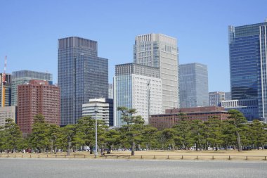 Tokyo şehir silüeti ve gökdelenler, Japonya