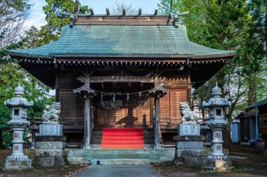 Güzel Japon tapınağı, Budizm konsepti