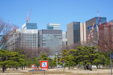 Tokyo, Japonya 'daki modern binaların manzarası