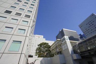 Şehirdeki modern ofis binaları, güneşli bir günde gökdelenler 