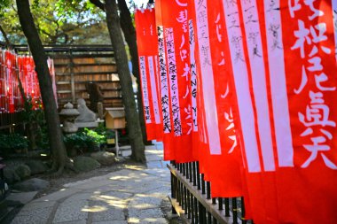 Japonya 'daki parkta güzel kırmızı bayraklar