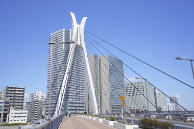 Chuo Ohashi köprüsü Chuo-ku, Tokyo 'daki Sumida Nehri üzerinde..