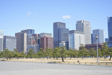 Tokyo, Japonya 'daki modern binaların ve yeşil ağaçların manzarası