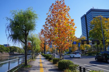 Şehirdeki göl ve modern binalar