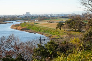 Çimenli nehir kenarı manzarası uzak şehir binalarının dolambaçlı su ağaçları içerir.