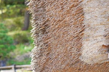 Geleneksel Japon bambu çatısı, mimari detay 
