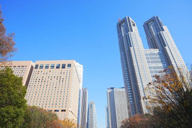 Tokyo Büyükşehir Hükümet Binası güneşli bir günde, Japonya 