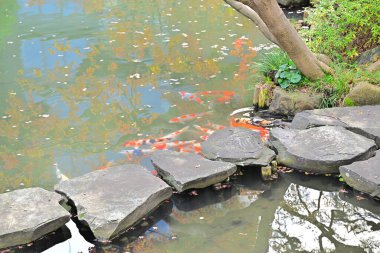 Göl taşlı Japon bahçesi manzarası